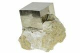 Pyrite Cube In Rock - Navajun, Spain #118238-1